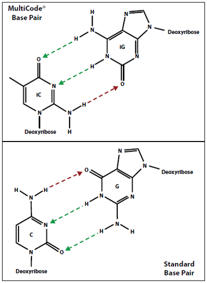 Структура изначально неочищенного синтезируемого олигонуклеотида поступившего на синтез (см рисунок)