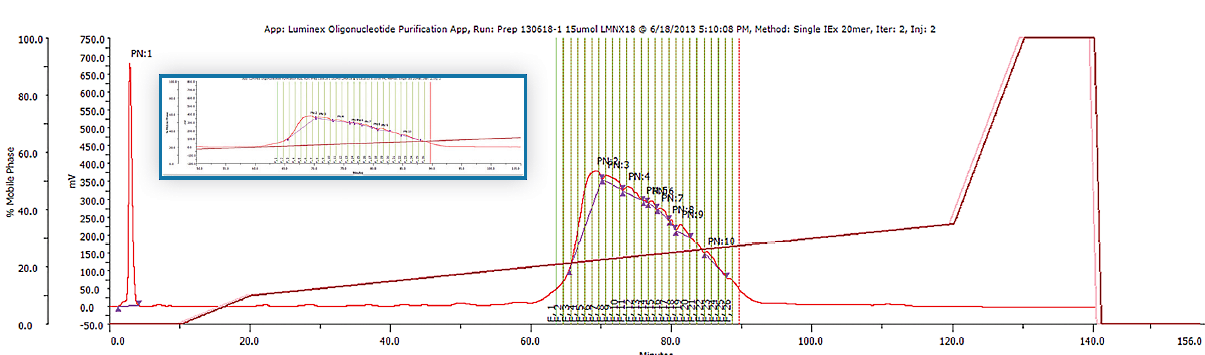 Pilot Scale Purification of 20 mer Oligonucleotide