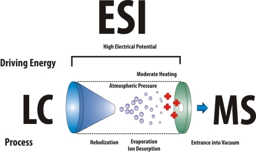 ESI - ионизация распылением в электрическом поле