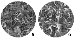 Топография медной поверхности до (а) и после (б) обработки оксидного слоя в растворе